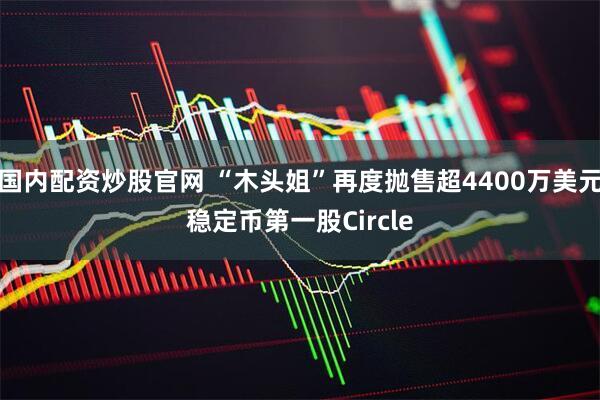 国内配资炒股官网 “木头姐”再度抛售超4400万美元稳定币第一股Circle
