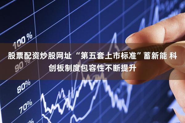 股票配资炒股网址 “第五套上市标准”蓄新能 科创板制度包容性不断提升